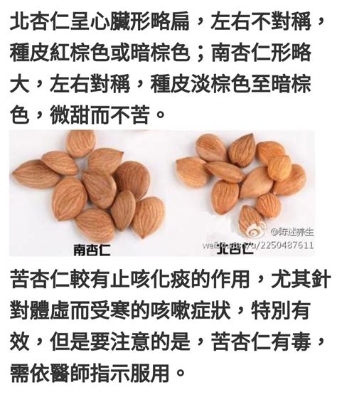 杏子是什麼|南北杏｜南杏北杏3分別 為何經常一齊用？吃錯可致休克點揀靚杏